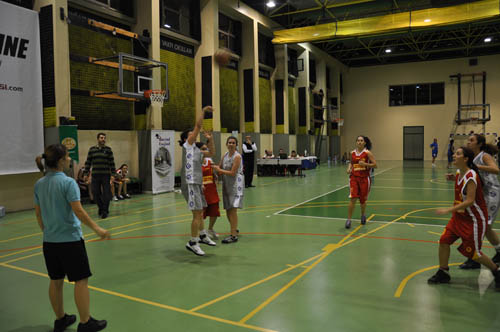 sbbl (146)